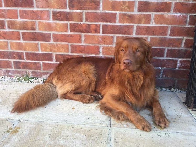 308335B4-B7D0-4891-8DCD-CC2E715CA322